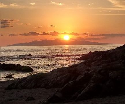 千葉県でキャンプをするなら白浜フラワーパークも選択肢に 矢駒の人生再出発